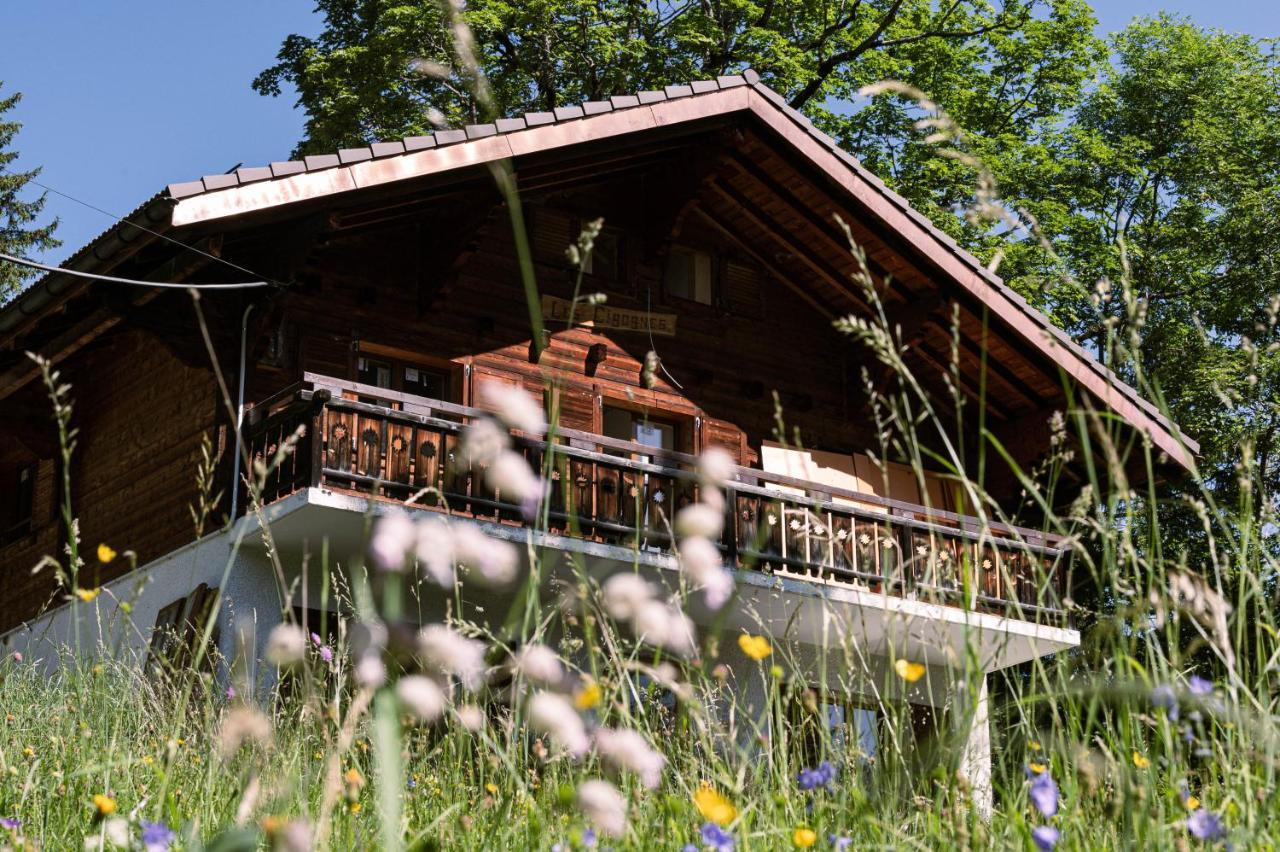 Le Wafo Hotel Gryon Exterior foto